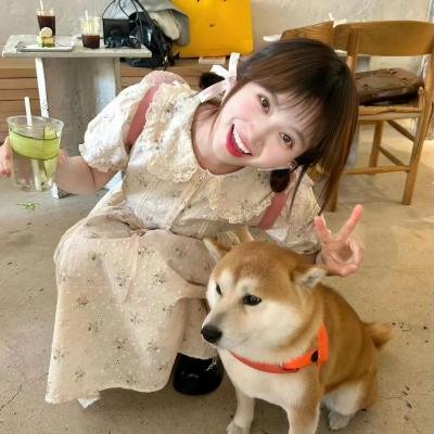 护士追凶